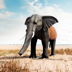 Life size Animatronic Elephant Outdoor Playground animal sculpture