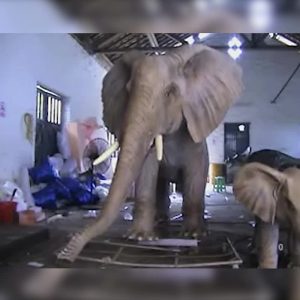 Life size Animatronic Elephant Outdoor Playground animal sculpture